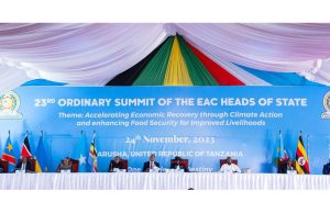 Sommet d’Arusha : pas de calendrier de retrait de troupes de l’EAC de la RDC
