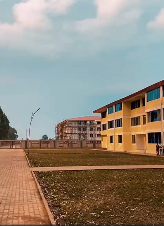 MBL 3