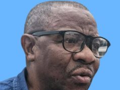 L’AFDC remercie le Président Tshisekedi après la libération de quatre de ses membres et plaide pour Hilaire Kasusa Kikobya